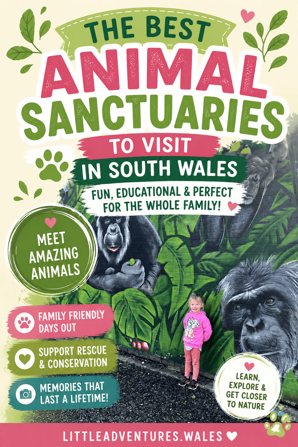 Animal Sanctuaries to Visit with the Family in South Wales