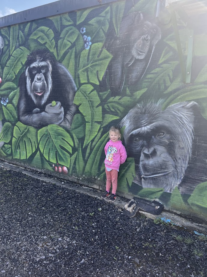 wales ape and monkey sanctuary